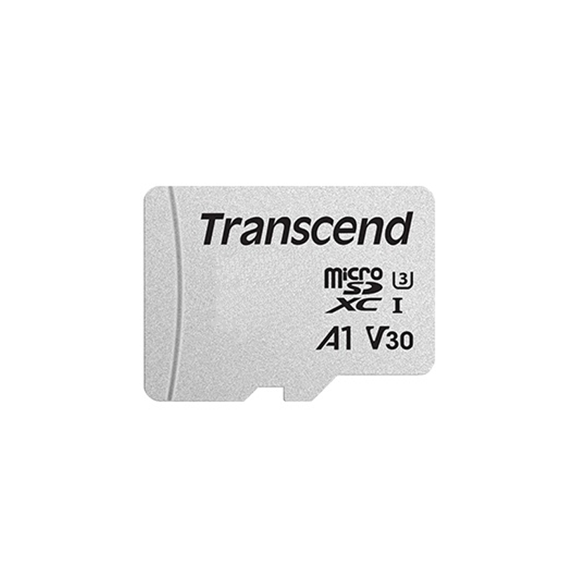 MicroSD 256GB CANVAS CLASS10 UHS-I V10 A1 100/85MB/s – Roy Memory